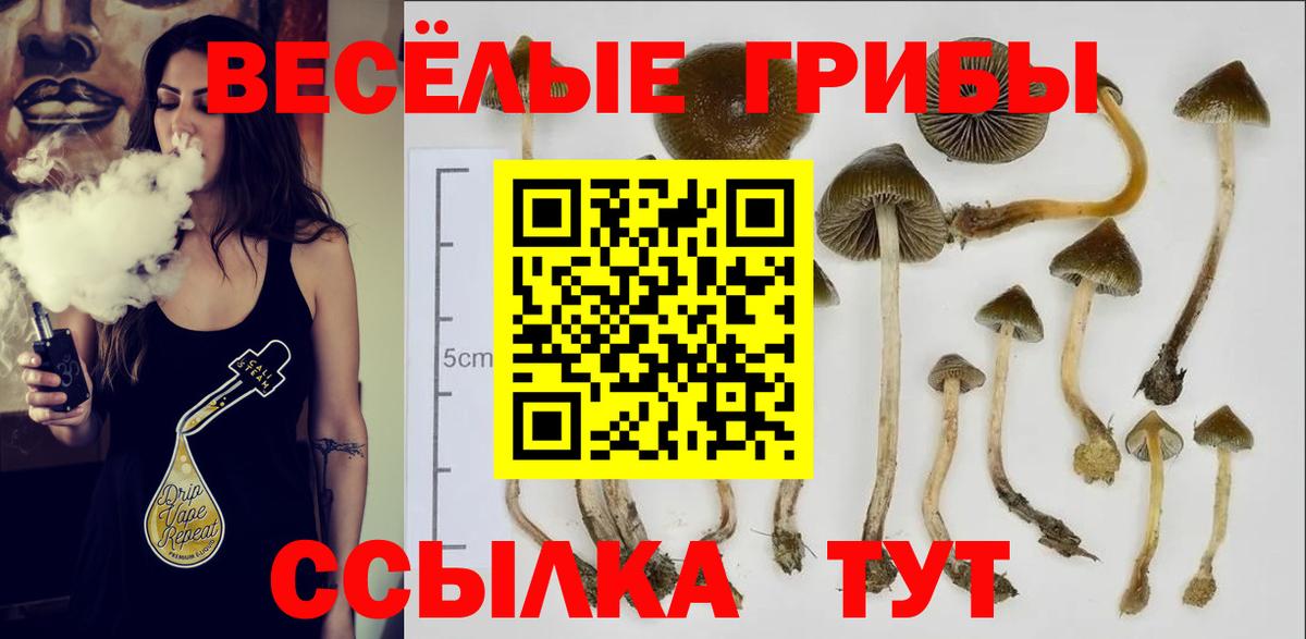 Галлюциногенные грибы MAGIC MUSHROOMS  Вход с VPN  хочу   Екатеринбург  Псилоцибиновые грибы GOLDEN TEACHER 